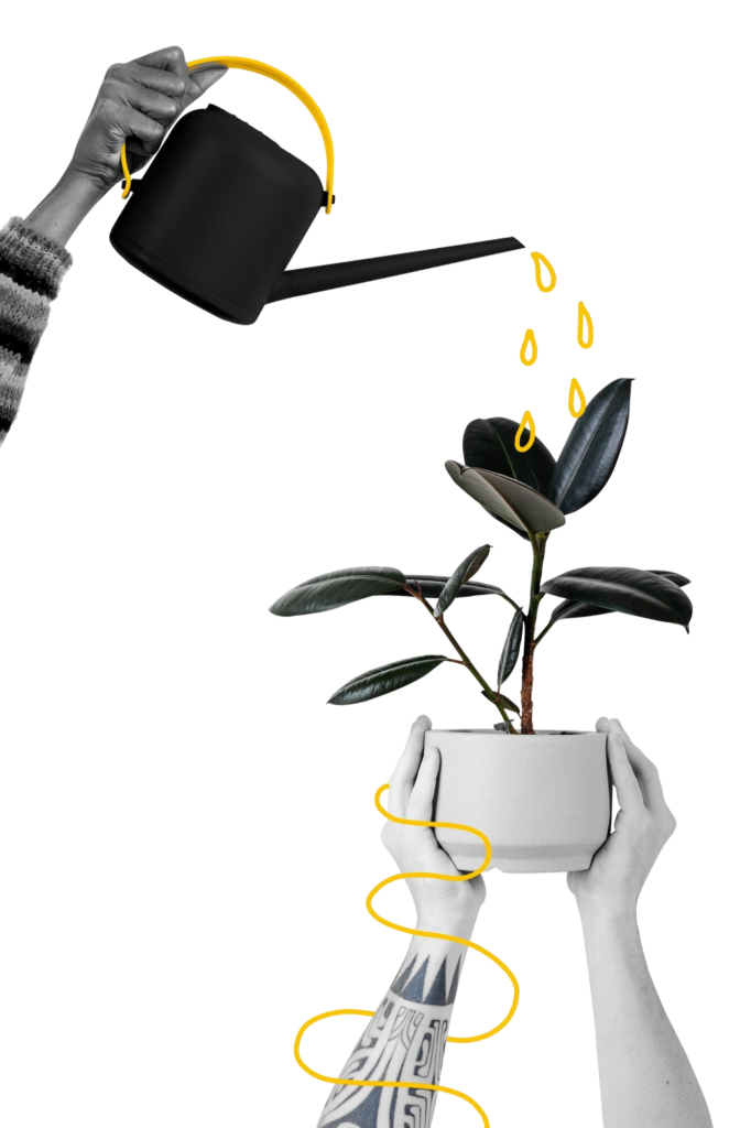 remix ilustracion hobby jardineria plantas interior